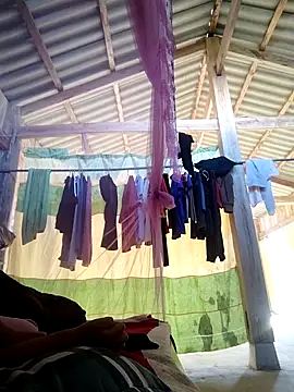 huexixi online show from October 2025 09:23:01 AM