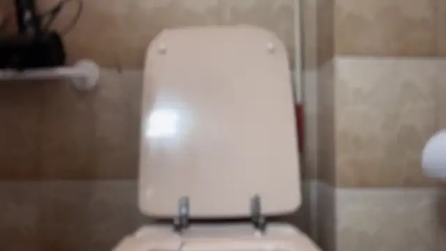 Chaserlovebear online show from November 2025 01:51:02 AM