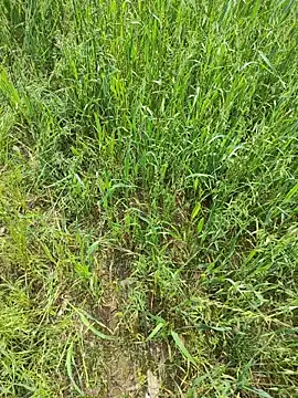 karandeep Bhagat online show from April 2026 05:07:01 AM