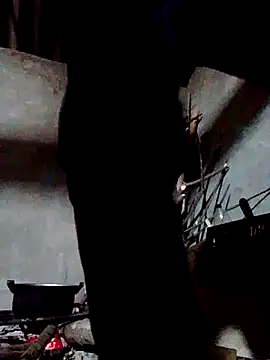 donna-bae online show from February 2026 12:20:01 PM