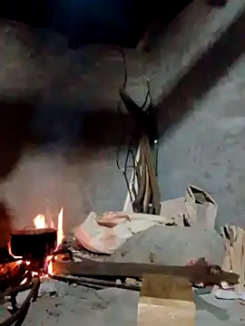 donna-bae online show from April 2026 11:22:02 AM