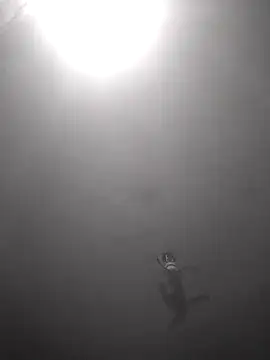 Hott cutgirl online show from October 2025 12:33:02 AM