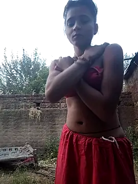 R Roshni online show from November 2025 11:43:02 AM