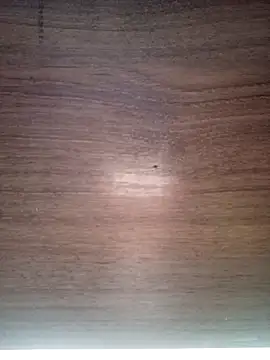 ValeriaLove43211 online show from December 2025 07:36:01 AM