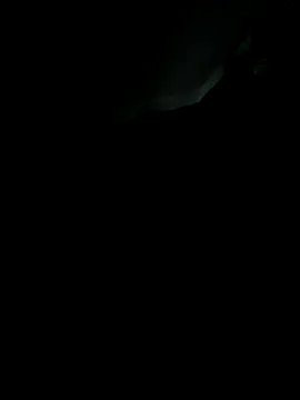 sebo801 online show from September 2025 05:31:01 AM