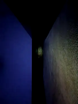 ipvk online show from April 2026 05:28:01 PM