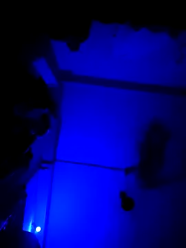 chunkyguy98 online show from October 2025 07:22:02 PM