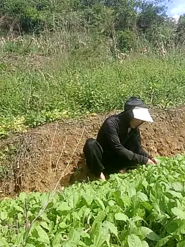 Norah-h online show from October 2025 02:24:01 AM