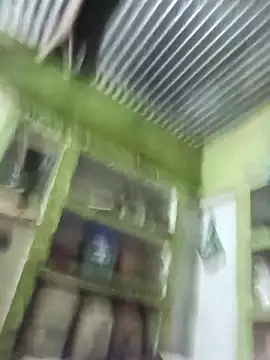 Haliya88 online show from November 2025 11:16:02 PM