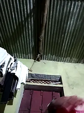 Haliya88 online show from February 2026 03:50:02 PM