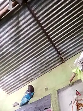 Haliya88 online show from March 2026 06:51:01 AM