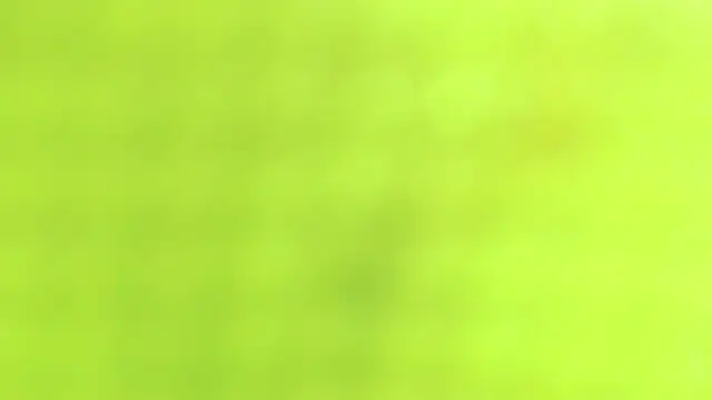 AnySugar online show from September 2025 02:36:02 AM