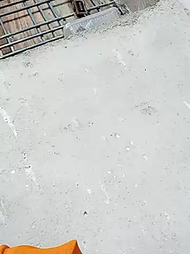 Rupali ji online show from December 2025 10:21:02 AM