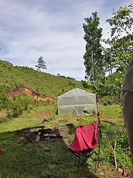 Helen-Tran online show from October 2025 01:35:01 AM