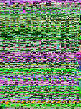 aoyo66 online show from November 2025 12:16:01 PM