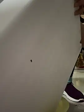 aoyo66 online show from April 2026 11:19:01 AM