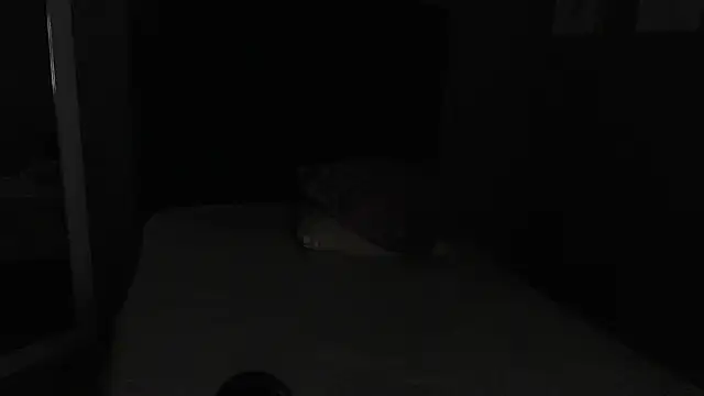 Snapshot of Vic_Taylor chatting on November 2025 12:43:01 AM Vic Taylor online show from November 2025 12:43:01 AM