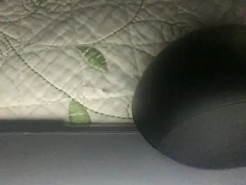 paula19800 online show from October 2025 10:34:02 AM