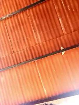 Goofygoody17 online show from February 2026 10:29:02 AM