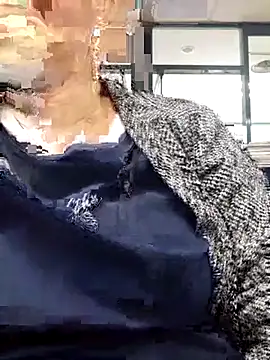 Kimkhaepretty online show from January 2026 06:05:01 AM