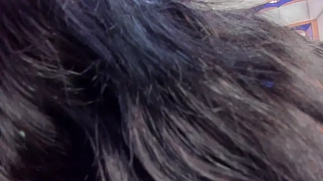 Sarah Adamss online show from January 2026 12:20:01 PM