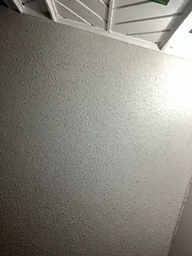 BuzzBunni69 online show from November 2025 01:54:02 PM