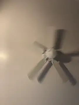 Snapshot of pmonie chatting on November 2025 12:05:02 AM pmonie online show from November 2025 12:05:02 AM