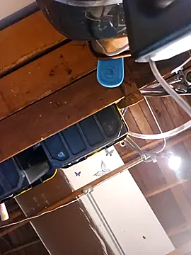 PinkSlushie online show from November 2025 02:06:01 PM