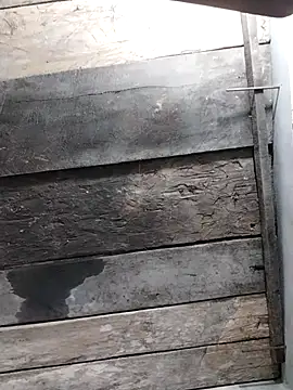 zhen-zo online show from April 2026 11:24:02 AM