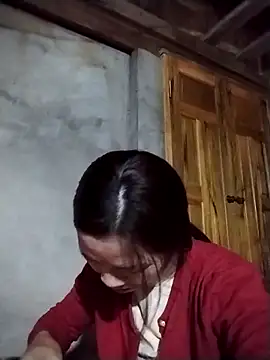 lmc-zz online show from February 2026 12:53:01 AM