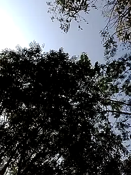 Snapshot of Rs_sonam chatting on February 2026 03:47:02 AM Rs sonam online show from February 2026 03:47:02 AM