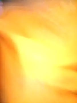 kavita bhabi online show from February 2026 08:11:02 AM