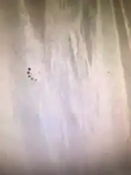 amasha200 online show from March 2026 12:03:01 AM