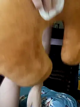 Snapshot of BiCute688 chatting on November 2025 04:31:02 PM BiCute688 online show from November 2025 04:31:02 PM