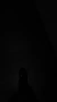 tia   fox online show from November 2025 07:41:02 AM