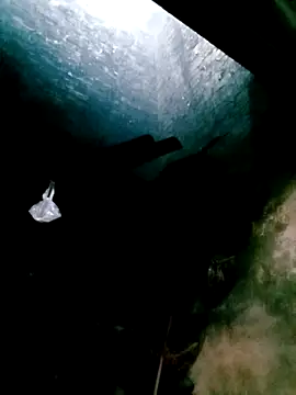 mntzz88 online show from October 2025 04:24:02 AM