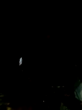 mntzz88 online show from November 2025 11:07:02 PM