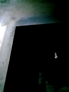 mntzz88 online show from November 2025 11:53:01 AM