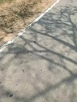 PEEHU-50 online show from March 2026 06:21:01 AM