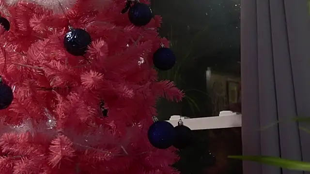 Vox Personas online show from December 2025 06:41:02 AM