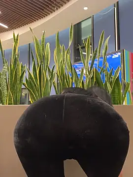 ilariea girl online show from February 2026 05:07:02 PM