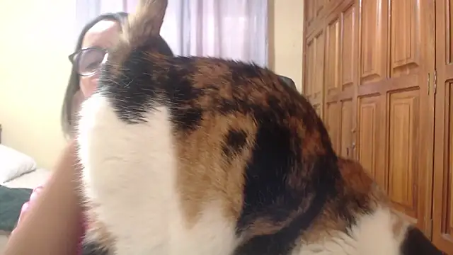 Venus cat  online show from February 2026 09:18:02 PM