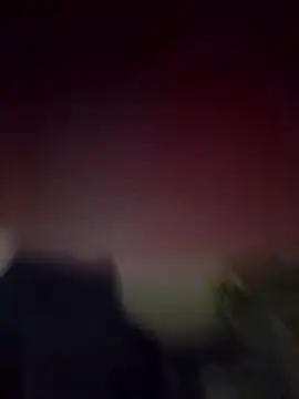 Curious9884 online show from January 2026 11:15:02 AM