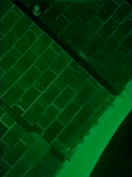 Buddha289 online show from March 2026 07:34:01 AM