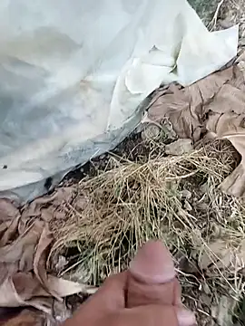 Sikici0734 online show from October 2025 06:44:01 AM