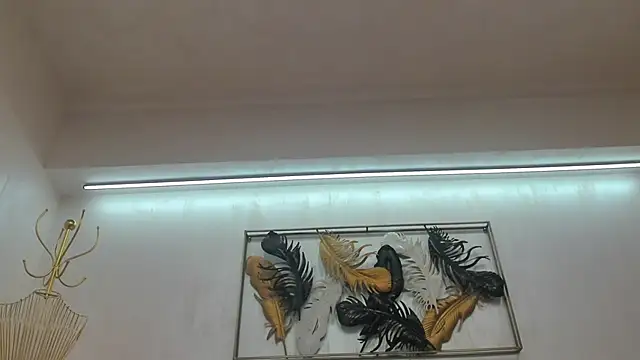 Snapshot of VikaFever chatting on October 2025 05:00:02 AM VikaFever online show from October 2025 05:00:02 AM