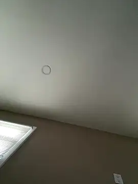 murphdolla online show from December 2025 01:51:02 PM