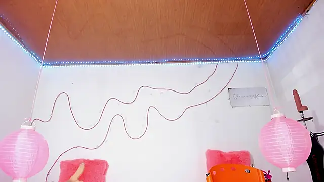 shannon kinne  online show from November 2025 12:49:01 PM