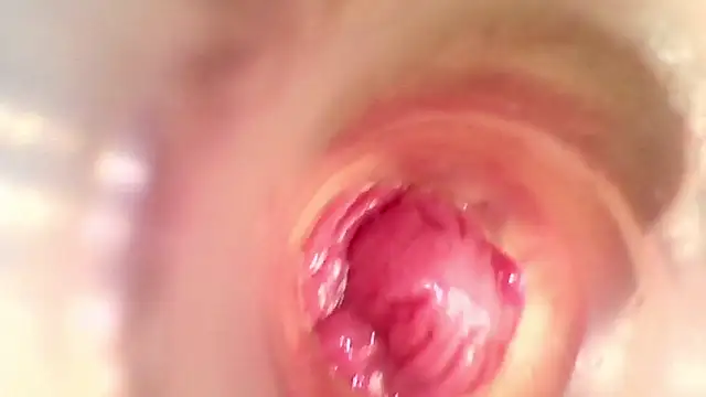 shannon kinne  online show from January 2026 01:59:02 PM