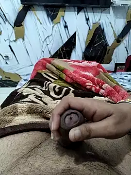 Nisha sonu couple online show from November 2025 04:29:02 AM